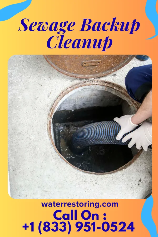 Sewage Backup Cleanup in St. Benedict, IA